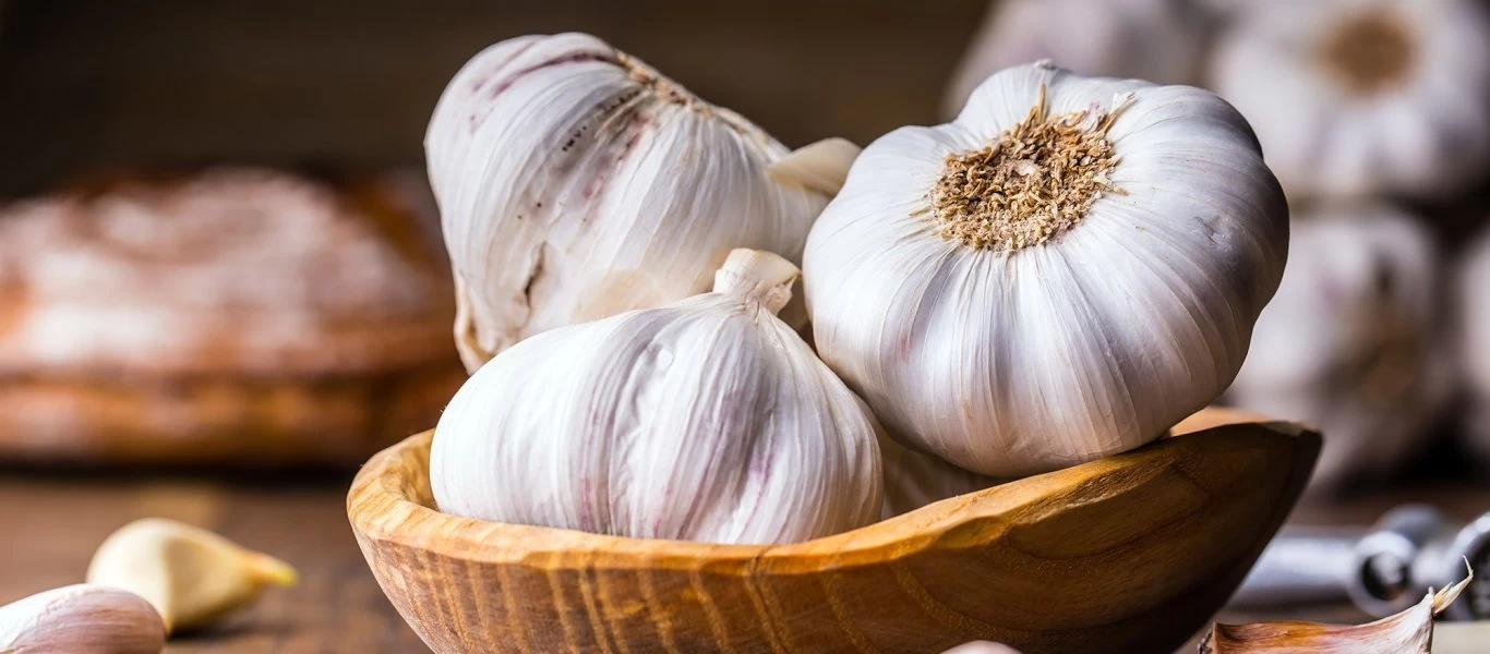 Να γιατί πρέπει να τρως κάθε πρωί σκόρδο - Οι ιδιότητές του κάνουν «θαύματα»